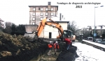 sondages 2011.jpg